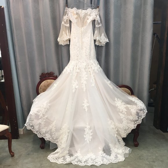 NWT Poet Sleeve Lace Blush/Ivory Wedding Dress - Picture 10 of 16